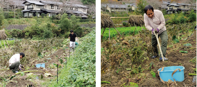 農家民宿sarara体験メニュー「植え付け・収穫体験」