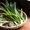 春の山菜「ノカンゾウ・ユキノシタ・ヨモギ」